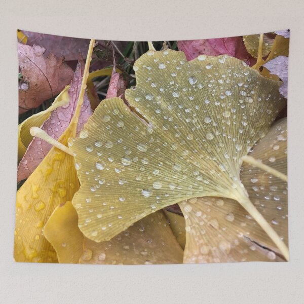 Item preview, Ginkgo Leaves, REAL photograph designed and sold by GiSilver.