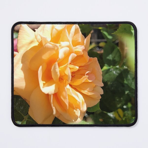 Item preview, An English rose on the balcony designed and sold by MinasArt90.
