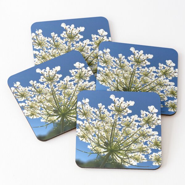 Item preview, White Flower, REAL photograph designed and sold by GiSilver.