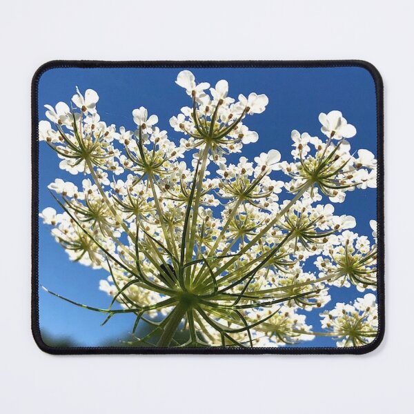 Item preview, White Flower, REAL photograph designed and sold by GiSilver.