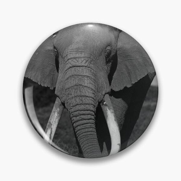 Item preview, The big Tusker called Tee-Jay designed and sold by Anthony Goldman.