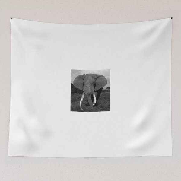Item preview, The big Tusker called Tee-Jay designed and sold by Anthony Goldman.