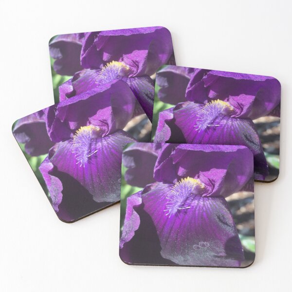 Item preview, Purple Iris, REAL photograph designed and sold by GiSilver.