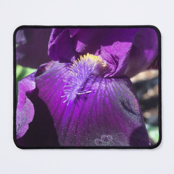 Item preview, Purple Iris, REAL photograph designed and sold by GiSilver.
