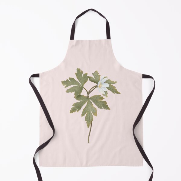 Item preview, Botanical illustration of the white woodland flower Anemonoides nemorosa designed and sold by Grin Katalina Floral Patterns & Cozy Art.