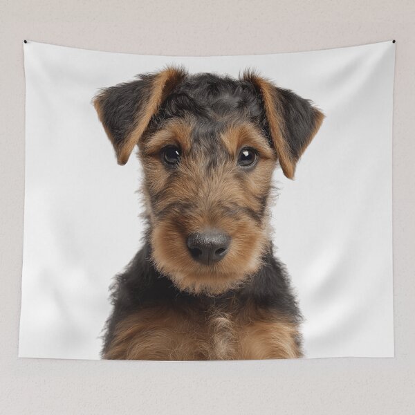 Item preview, Adorable Airedale Terrier Pup for Cute Airedale Terrier puppy lovers designed and sold by LazyOwlStore.