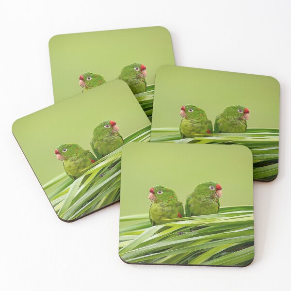 Item preview, Palm‑Leaf Companions designed and sold by WrightDesignsUS.