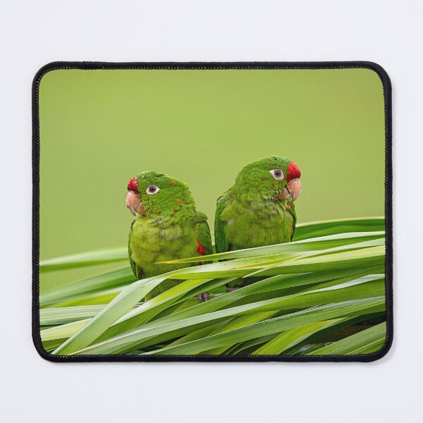 Item preview, Palm‑Leaf Companions designed and sold by WrightDesignsUS.