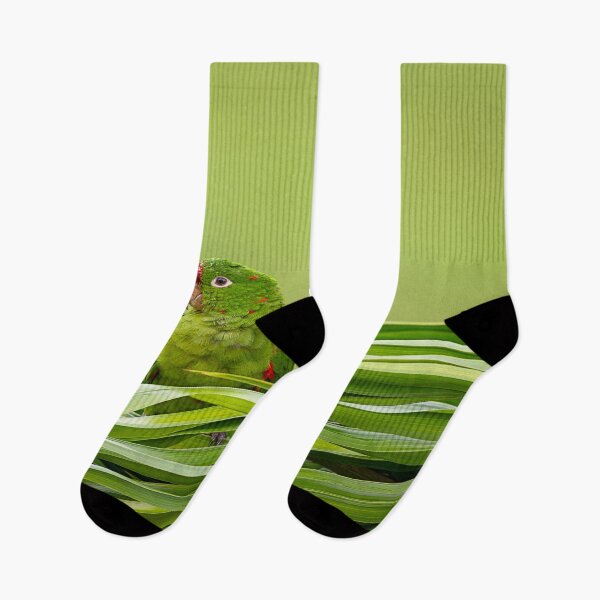 Item preview, Palm‑Leaf Companions designed and sold by WrightDesignsUS.