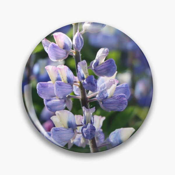 Item preview, Lupine flowers designed and sold by AlexiaLefebvre.