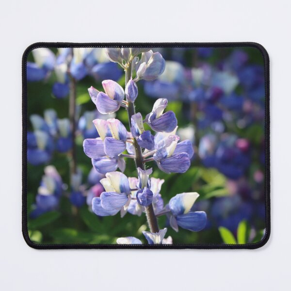 Item preview, Lupine flowers designed and sold by AlexiaLefebvre.