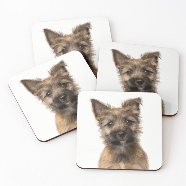 Item preview, Adorable Cairn Terrier Pup for Cute Cairn Terrier puppy lovers designed and sold by LazyOwlStore.