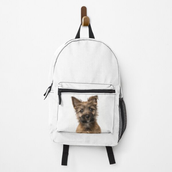 Item preview, Adorable Cairn Terrier Pup for Cute Cairn Terrier puppy lovers designed and sold by LazyOwlStore.