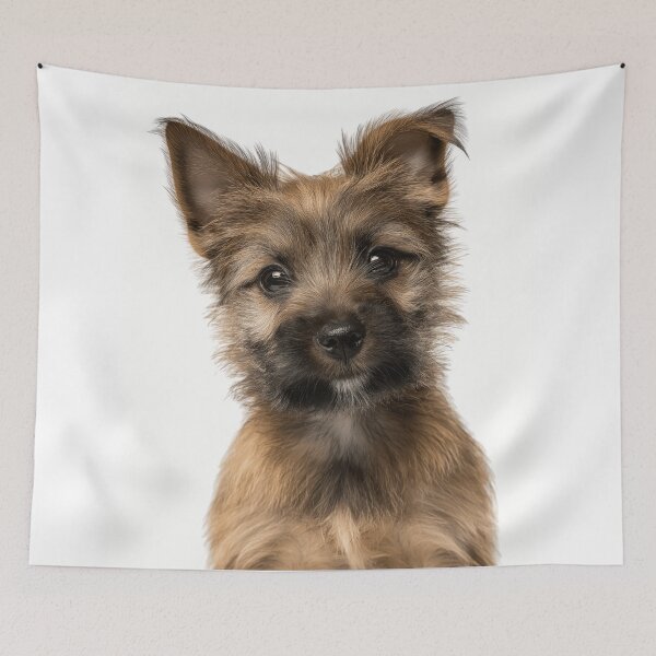 Item preview, Adorable Cairn Terrier Pup for Cute Cairn Terrier puppy lovers designed and sold by LazyOwlStore.