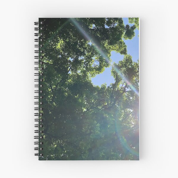 Item preview, light leak through trees, REAL photograph designed and sold by GiSilver.