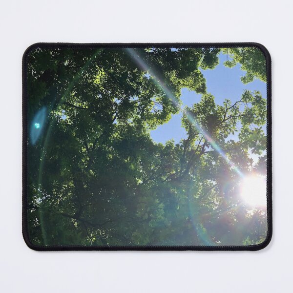 Item preview, light leak through trees, REAL photograph designed and sold by GiSilver.