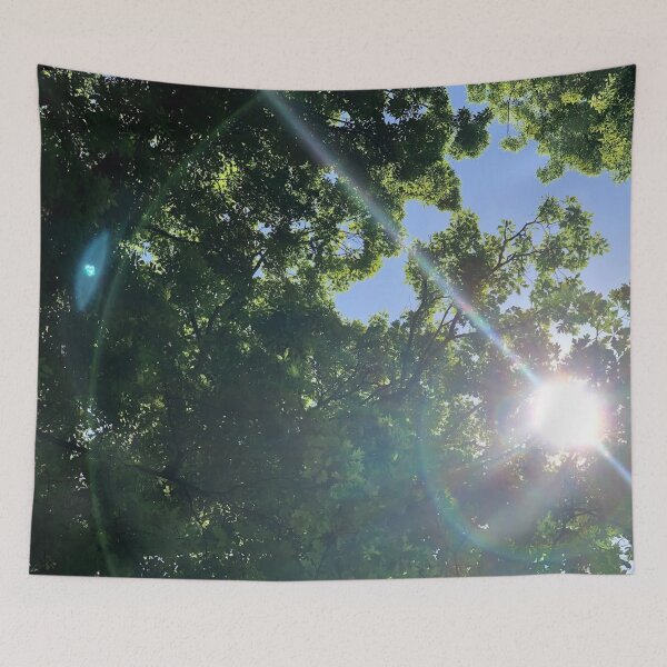 Item preview, light leak through trees, REAL photograph designed and sold by GiSilver.