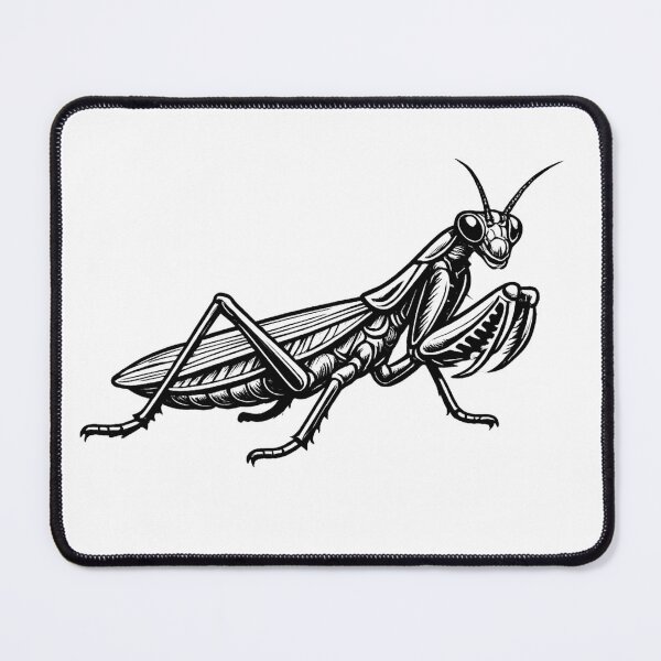 Item preview, Praying Mantis - Bold Line Realistic Minimalistic Illustration designed and sold by Minimalisticaly.
