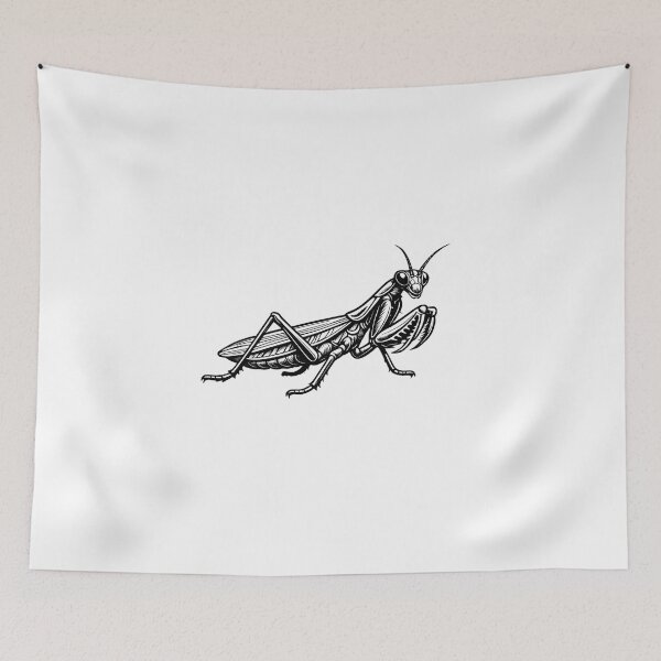 Item preview, Praying Mantis - Bold Line Realistic Minimalistic Illustration designed and sold by Minimalisticaly.