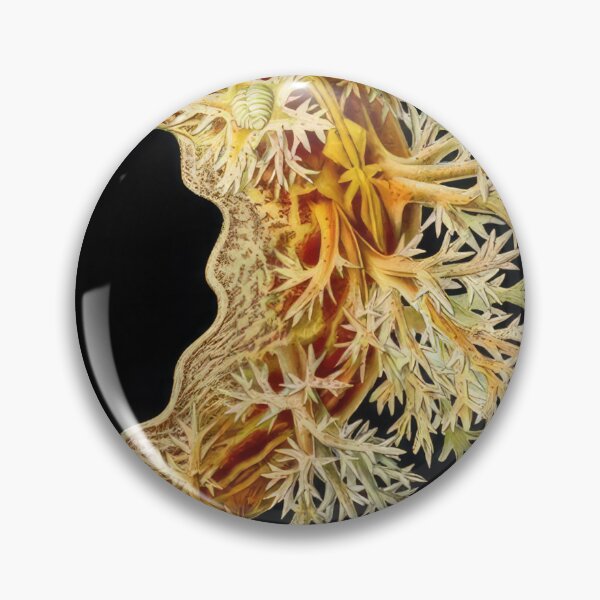 Item preview, Ernst Haeckel  designed and sold by Art-KaBoom.