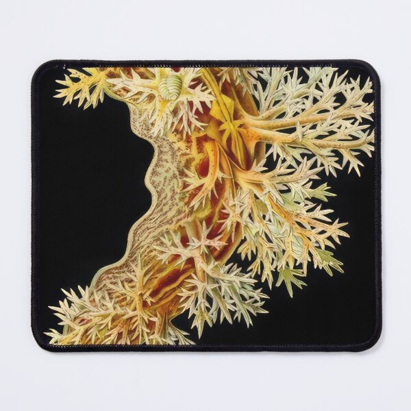 Item preview, Ernst Haeckel  designed and sold by Art-KaBoom.