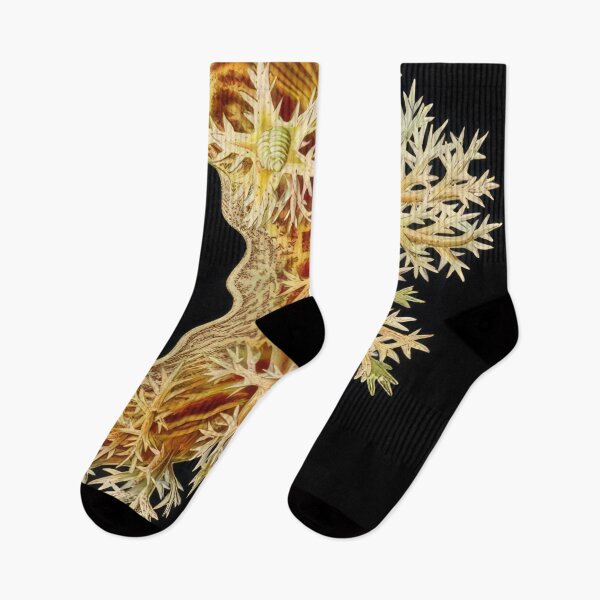 Item preview, Ernst Haeckel  designed and sold by Art-KaBoom.