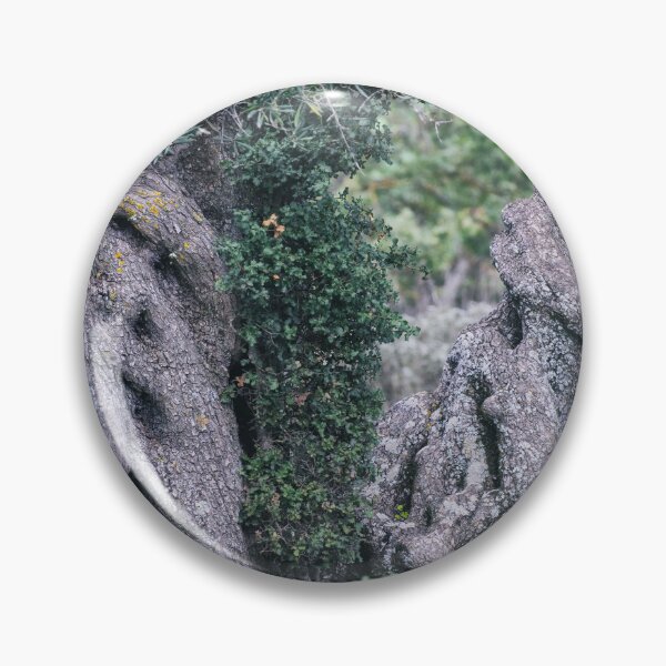 Item preview, Twisted Ancient Olive Trees designed and sold by PhotoArt by Joan Carroll.
