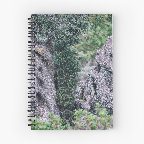 Item preview, Twisted Ancient Olive Trees designed and sold by PhotoArt by Joan Carroll.