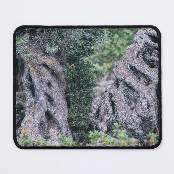 Item preview, Twisted Ancient Olive Trees designed and sold by PhotoArt by Joan Carroll.