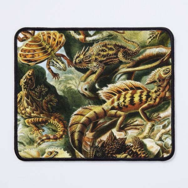Item preview, Ernst Haeckel designed and sold by Art-KaBoom.