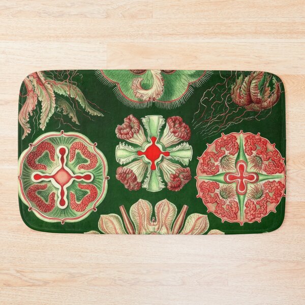 Item preview, Ernst Haeckel  designed and sold by Art-KaBoom.