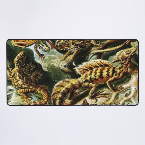 Item preview, Ernst Haeckel designed and sold by Art-KaBoom.