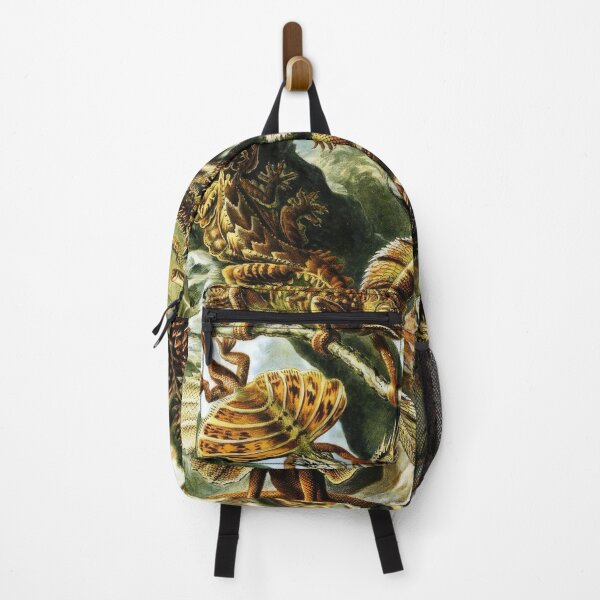 Item preview, Ernst Haeckel designed and sold by Art-KaBoom.