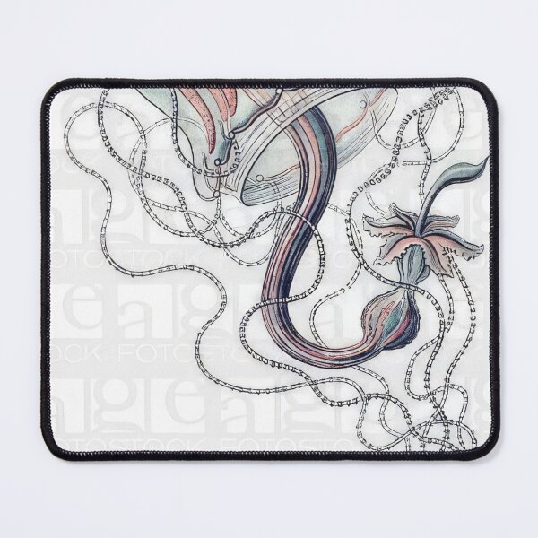 Item preview, Ernst Haeckel designed and sold by Art-KaBoom.