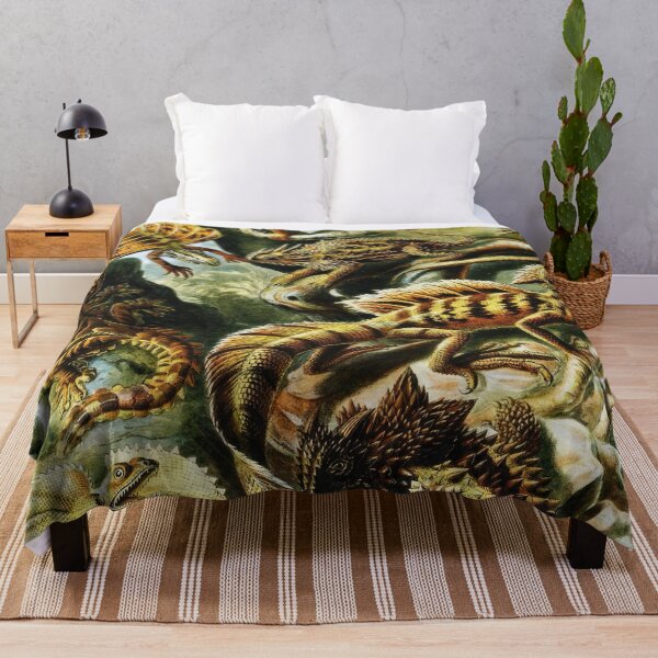 Item preview, Ernst Haeckel  designed and sold by Art-KaBoom.