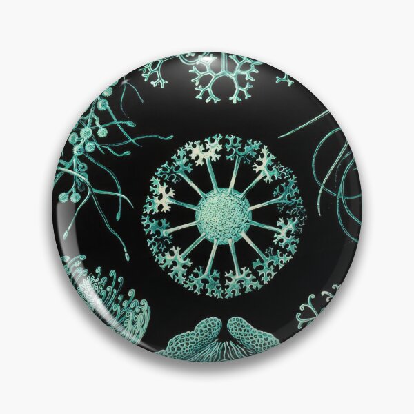 Item preview, Ernst Haeckel  designed and sold by Art-KaBoom.