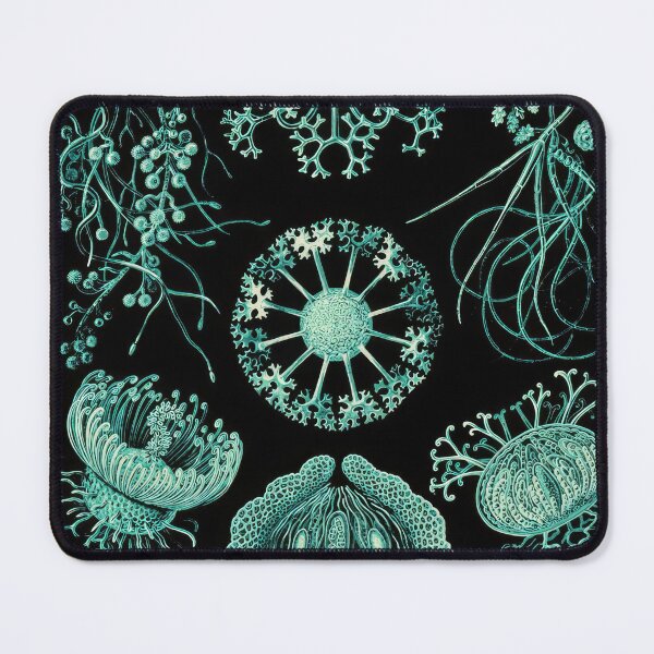 Item preview, Ernst Haeckel  designed and sold by Art-KaBoom.