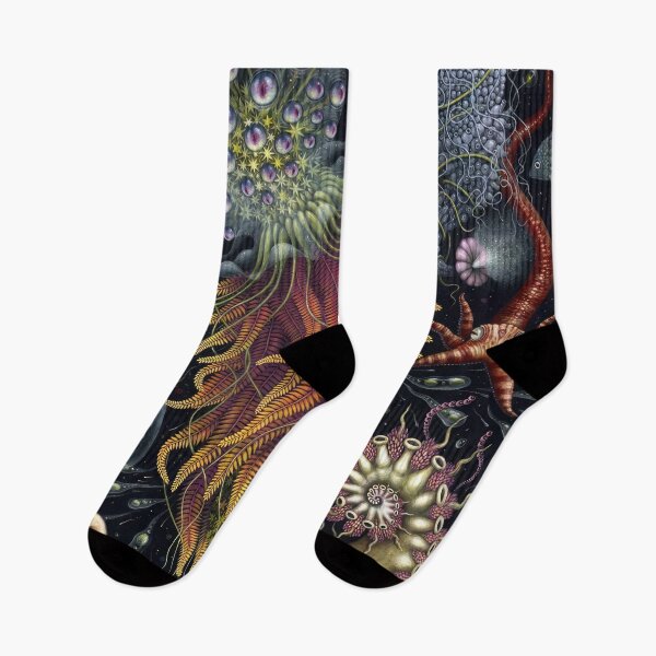 Item preview, Ernst Haeckel  designed and sold by Art-KaBoom.