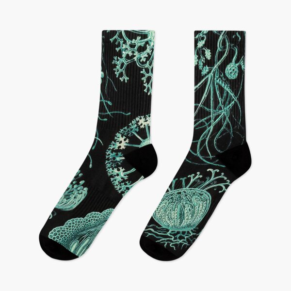 Item preview, Ernst Haeckel  designed and sold by Art-KaBoom.