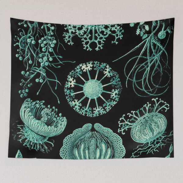 Item preview, Ernst Haeckel  designed and sold by Art-KaBoom.