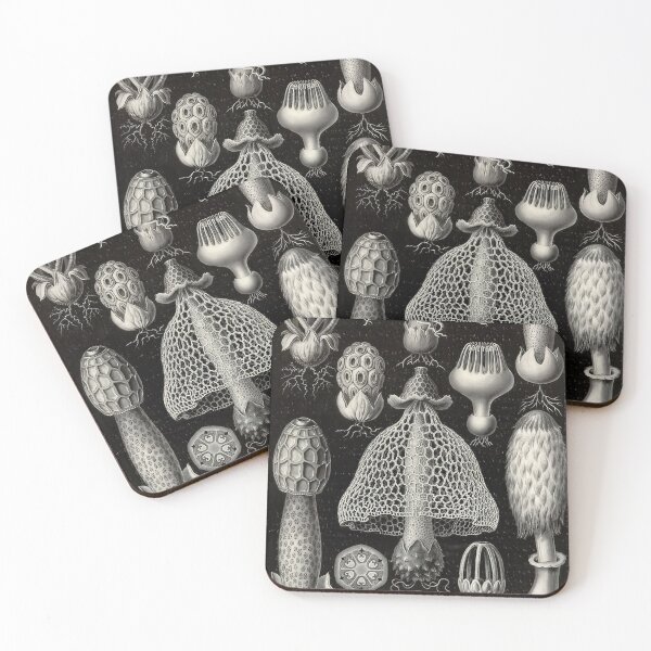 Item preview, Ernst Haeckel  designed and sold by Art-KaBoom.