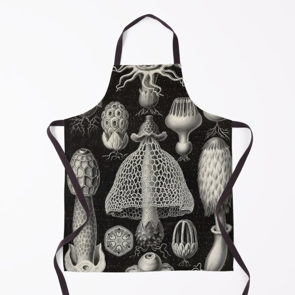 Item preview, Ernst Haeckel  designed and sold by Art-KaBoom.