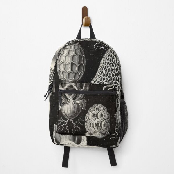 Item preview, Ernst Haeckel designed and sold by Art-KaBoom.