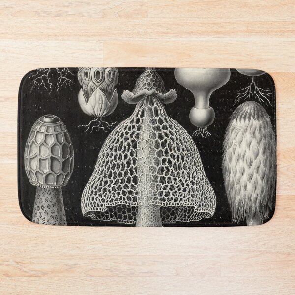 Item preview, Ernst Haeckel  designed and sold by Art-KaBoom.