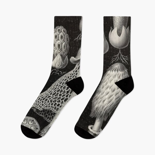 Item preview, Ernst Haeckel  designed and sold by Art-KaBoom.