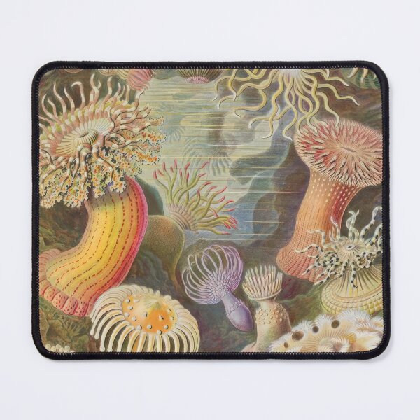Item preview, Ernst Haeckel  designed and sold by Art-KaBoom.