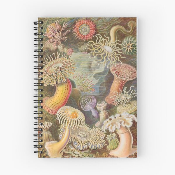 Item preview, Ernst Haeckel  designed and sold by Art-KaBoom.