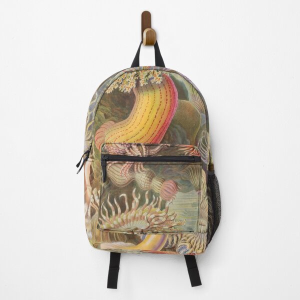 Item preview, Ernst Haeckel designed and sold by Art-KaBoom.