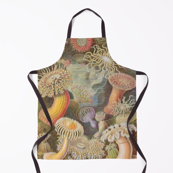 Item preview, Ernst Haeckel designed and sold by Art-KaBoom.