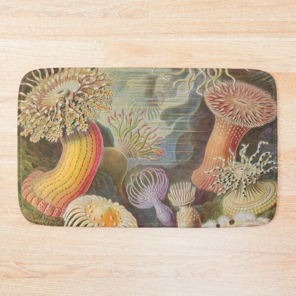Item preview, Ernst Haeckel  designed and sold by Art-KaBoom.